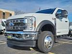 2024 Ford F-450 Regular Cab DRW 4WD, Cab Chassis for sale #240378 - photo 3