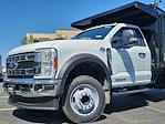 2024 Ford F-450 Regular Cab DRW RWD, Reading Landscaper SL Landscape Dump for sale #240605 - photo 8