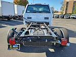 2024 Ford F-550 Regular Cab DRW 4WD, Cab Chassis for sale #241429 - photo 7