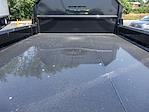 New 2025 Ford F-450 Regular Cab 4WD Dump Truck for sale #250626 - photo 28