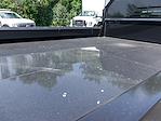 New 2025 Ford F-450 Regular Cab 4WD Dump Truck for sale #250626 - photo 30