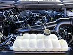 2024 Ford F-150 SuperCrew Cab 4WD Pickup for sale #251318A - photo 32
