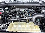 2020 Ford F-150 SuperCrew Cab 4WD Pickup for sale #251427A - photo 28