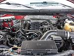 2013 Ford F-150 Super Cab 4WD Pickup for sale #251461A - photo 30