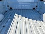 New 2026 Ford F-250 XL Regular Cab Plow Truck for sale #260014 - photo 24