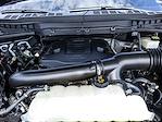 2023 Ford F-150 SuperCrew Cab 4WD Pickup for sale #X15028 - photo 30
