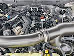 2024 Ford F-150 SuperCrew Cab 4WD Pickup for sale #X15091 - photo 24