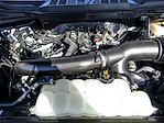 2024 Ford F-150 SuperCrew Cab 4WD Pickup for sale #X15429 - photo 28