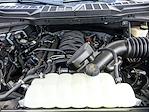 2024 Ford F-150 SuperCrew Cab 4WD Pickup for sale #X15431 - photo 32