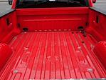 2024 Ford F-250 Regular Cab SRW 4WD Pickup for sale #X15611 - photo 24