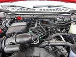 2024 Ford F-250 Regular Cab SRW 4WD Pickup for sale #X15611 - photo 29