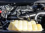 2018 Ford F-150 SuperCrew Cab 4WD Pickup for sale #X15666A - photo 25