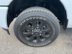 2025 Ram 2500 Crew Cab 4WD Pickup for sale #TDR250177 - photo 26