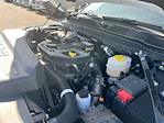 2025 Ram 2500 Crew Cab 4WD Pickup for sale #TDR250453 - photo 22