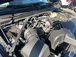 New 2025 Ram 2500 Big Horn Crew Cab 4WD Pickup for sale #TDR250483 - photo 21