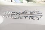 2025 Chevrolet Silverado 3500 Crew Cab 4x4 Pickup for sale #50221A - photo 15