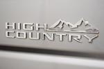 2025 Chevrolet Silverado 3500 Crew Cab 4x4 Pickup for sale #50221A - photo 21