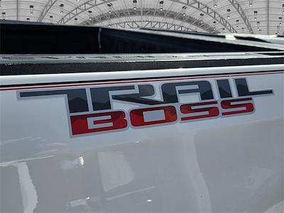 Used 2024 Chevrolet Silverado 1500 - photo 1