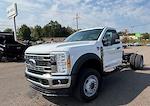 New 2026 Ford F-600 Regular Cab Cab Chassis for sale #TDA08323 - photo 4