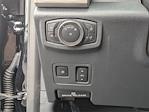 2022 Ford F-350 Crew Cab SRW 4x4 Pickup for sale #CH241005B1 - photo 12