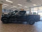 New 2025 Ford F-150 STX SuperCrew Cab for sale #H251262 - photo 6