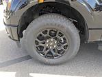 2025 Ford F-150 SuperCrew Cab 4x4 Pickup for sale #H25188 - photo 26