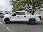 2025 Ford F-150 SuperCrew Cab 4x4 Pickup for sale #FH25218 - photo 6