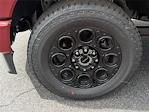 2025 Ford F-250 Crew Cab 4x4 Pickup for sale #H25428 - photo 29