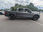 2025 Ford F-150 SuperCrew Cab 4x4 Pickup for sale #H25560 - photo 3