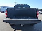 2023 Ford F-150 SuperCrew Cab RWD Pickup for sale #H25703A1 - photo 24