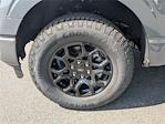 New 2025 Ford F-150 XLT SuperCrew Cab 4WD Pickup for sale #H25721 - photo 26