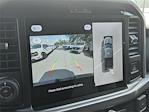 New 2025 Ford F-150 XLT SuperCrew Cab 4WD Pickup for sale #H25906 - photo 15