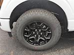 New 2025 Ford F-150 XLT SuperCrew Cab 4WD Pickup for sale #H25966 - photo 26