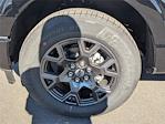 New 2026 Ford F-150 STX SuperCrew Cab for sale #H26135 - photo 24