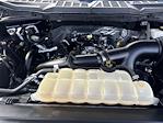 2021 Ford F-150 SuperCrew Cab 4WD Pickup for sale #12531 - photo 28