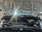 2020 Chevrolet Silverado 1500 Double Cab 4WD Pickup for sale #12468 - photo 26