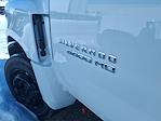 2024 Chevrolet Silverado 6500 DRW Other Cab Chassis for sale #543700 - photo 10