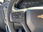 2025 Chevrolet Silverado 2500 Regular Cab 4WD Service Truck for sale #CS28981 - photo 17