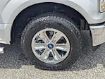 2016 Ford F-150 Regular Cab 4x2 Pickup for sale #25201B - photo 10