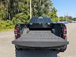 2023 Ram 3500 Crew Cab DRW 4x4 Pickup for sale #500607A - photo 12