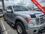 2009 Ford F-150 SuperCrew Cab 4x2 Pickup for sale #9FB14692 - photo 1