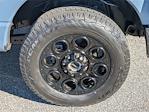 2023 Ford F-250 Crew Cab 4x4, Pickup for sale #PED34834 - photo 3