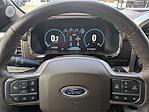 2023 Ford F-150 SuperCrew Cab 4WD Pickup for sale #PFC01075 - photo 31