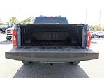 2023 Ford F-150 SuperCrew Cab 4x2 Pickup for sale #PKD01866 - photo 3