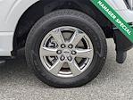 2023 Ford F-150 SuperCrew Cab RWD Pickup for sale #PPKD88205 - photo 12