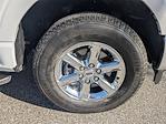 2023 Ford F-150 SuperCrew Cab 4WD Pickup for sale #PPKE04575 - photo 11