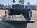 2023 Ford F-150 SuperCrew Cab 4WD Pickup for sale #PPKE04575 - photo 13