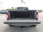 2022 Ford F-350 Crew Cab DRW 4x4 Pickup for sale #PNEE55707 - photo 3