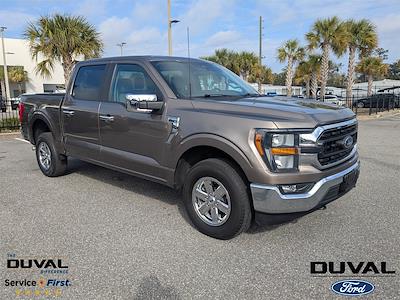 Used 2023 Ford F-150 - photo 1