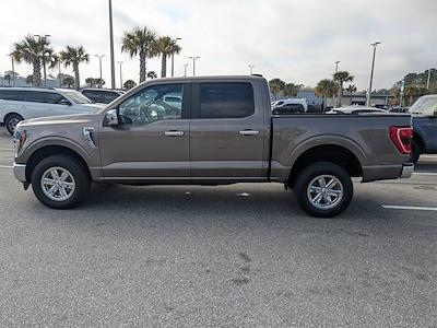 Used 2023 Ford F-150 - photo 1